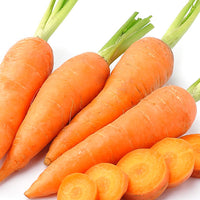 Carrot