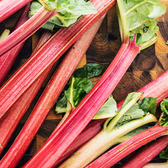 Rhubarb (root)