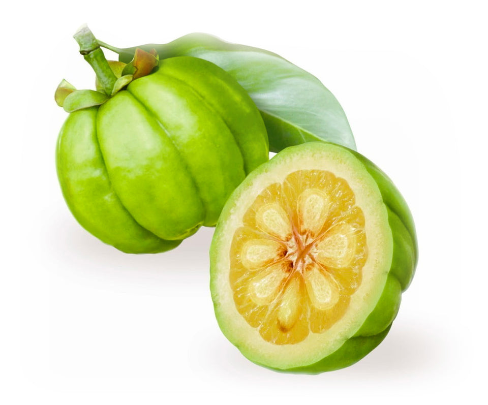 Garcinia cambogia fruit