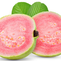 Guava