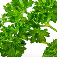 Parsley